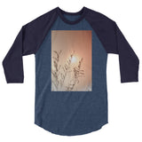 Sun 3/4 Sleeve Raglan Shirt