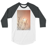 Sun 3/4 Sleeve Raglan Shirt
