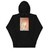 Sun Unisex Hoodie